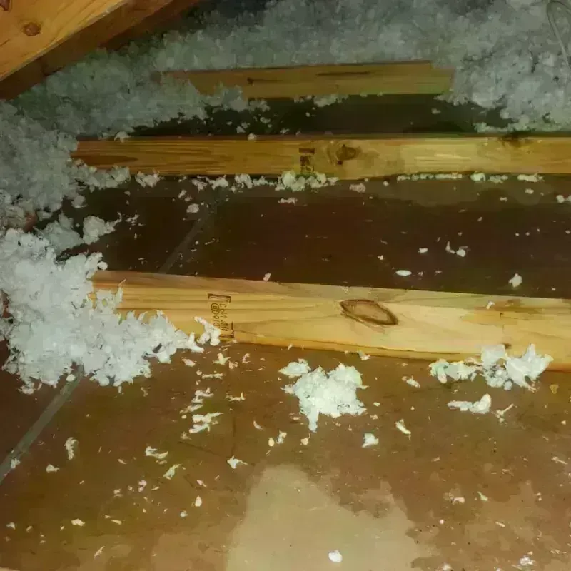 Attic Water Damage in Ely, MN