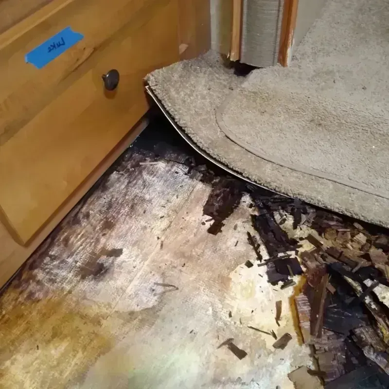 Wood Floor Water Damage in Ely, MN